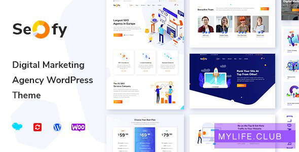 Seofy v1.6.1 – Digital Marketing Agency WordPress Theme 【nulled】