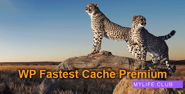 WP Fastest Cache Premium v1.6.2