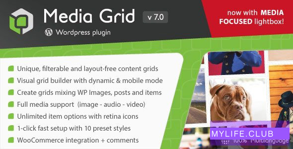 Media Grid v7.0.11 – WordPress Responsive Portfolio