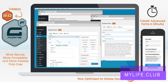 Gravity Forms v2.5.7.3 【nulled】