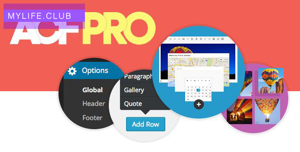 Advanced Custom Fields Pro v5.9.9