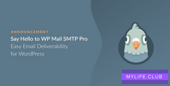 WP Mail SMTP Pro v2.5.3 【nulled】