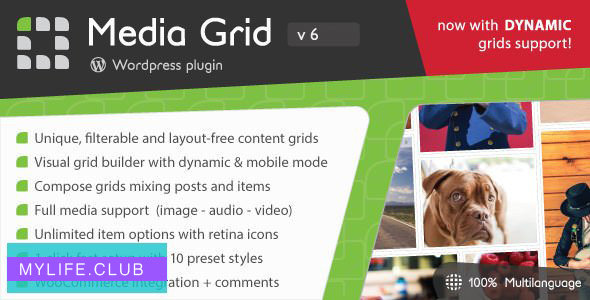 Media Grid v6.493 – WordPress Responsive Portfolio