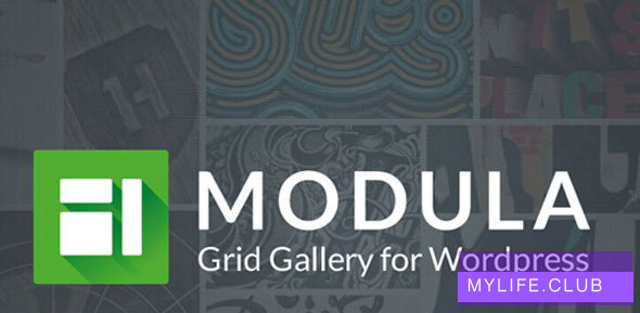 Modula Pro v2.4.0 + Addons 【nulled】