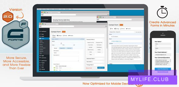 Gravity Forms v2.4.20 【nulled】