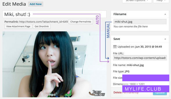 Media File Renamer Pro v4.6.9 【nulled】