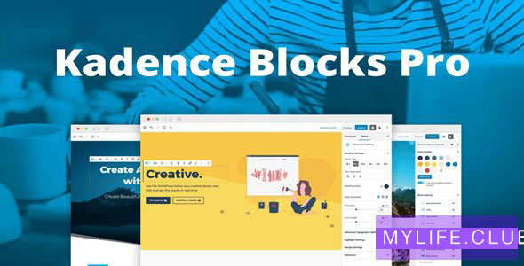 Kadence Blocks Pro V1.6.1【nulled】