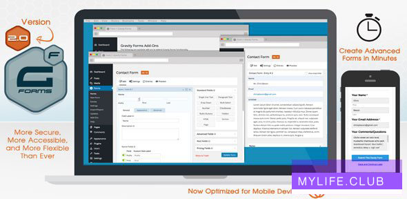 Gravity Forms v2.5.16.4【nulled】