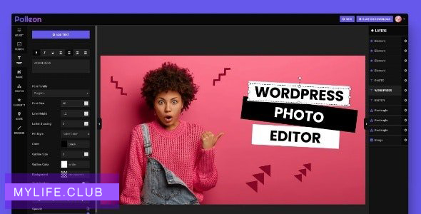 Palleon v1.1 – WordPress Image Editor