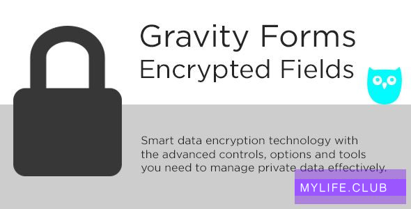 Gravity Forms Encrypted Fields v6.1.1